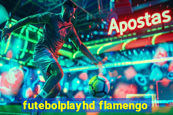 futebolplayhd flamengo